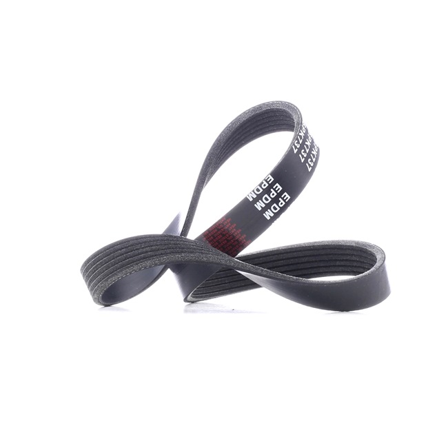 STARK 04E 145 933 G Cinghia servizi SKPB-0090085