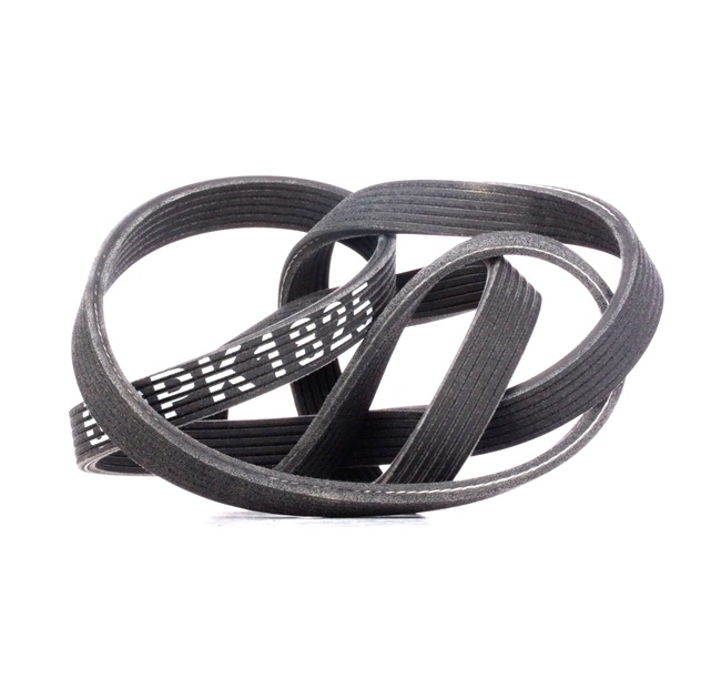 STARK SKPB-0090112 Cinghia servizi Porsche 991 Coupe originale prezzo