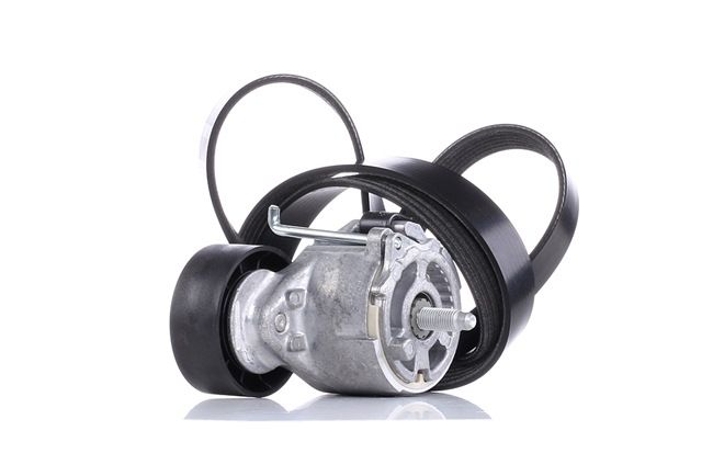 DAYCO KPV233 Keilrippenriemensatz Lancia Musa 350 1.3 D Multijet (350.AXG11, 350.AXG1A) 90 PS Diesel 2007