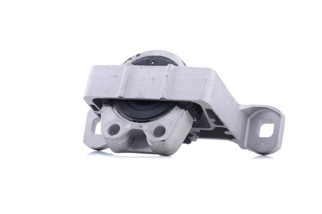 DELPHI Supporto motore TEM096 a buon mercato