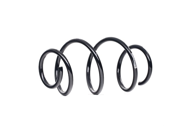 Ελατήρια ανάρτησης SACHS HYUNDAI MATRIX 993 508