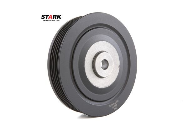 STARK SKBPC-0640065 Puleggia albero motore Renault Scenic 1 1.9 dCi 102 CV Diesel 2003