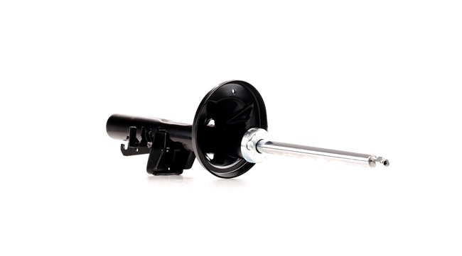 DENCKERMANN Amortiguador DSB300G a un precio bajo