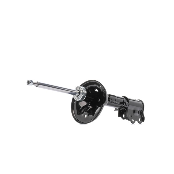 RIDEX 854S1311 schokdemper 553512C250