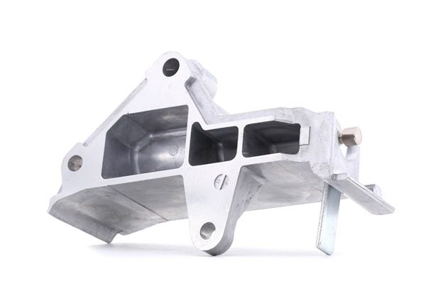 STARK SKSZ-1160004 Tensor de la correa de distribución Seat Toledo 2 1.9 TDI 150 cv Gasóleo 2002