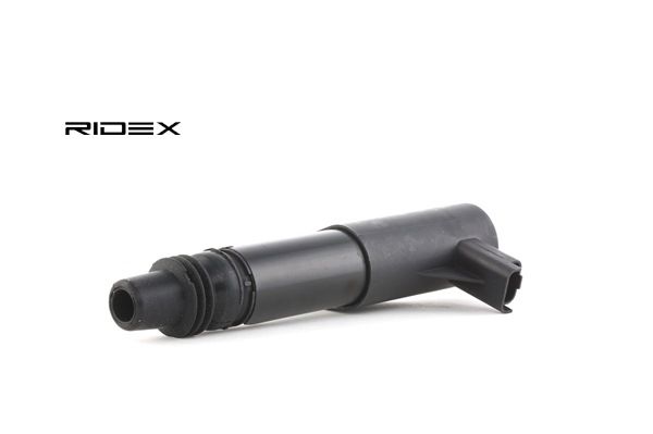 RIDEX 689C0020 Zündspule LANCIA PHEDRA 2006