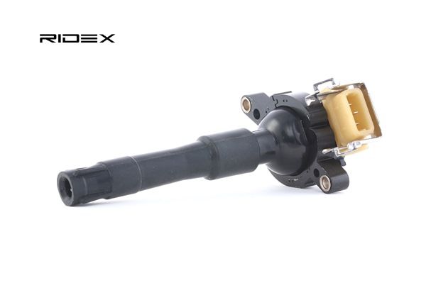 RIDEX 689C0024 bobine 1726178