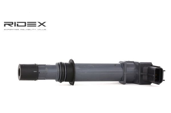 RIDEX 689C0047 DODGE Zündspule Kosten