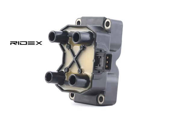 RIDEX 689C0053 FSO bobine kopen