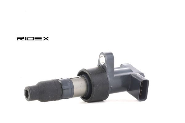 RIDEX 689C0055 Aizdedzs sveces Jaguar X-Type Sedan