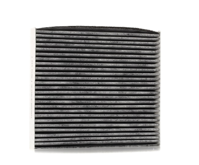 STARK SKIF-0170330 qualité haut de gamme et prix abordables