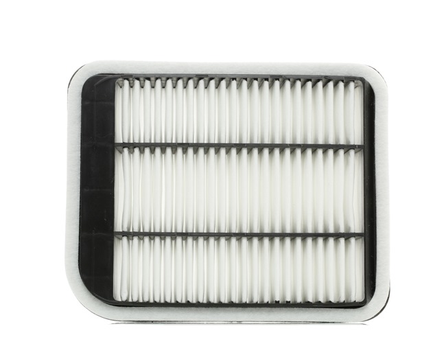 RIDEX 8A0162 Oro filtras MITSUBISHI GRANDIS 2007