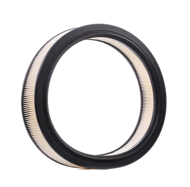RIDEX 8A0303 2009 FIAT SEICENTO Luftfilter Preis