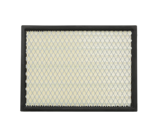 RIDEX 8A0393 Oro filtras CHRYSLER PT CRUISER 2001