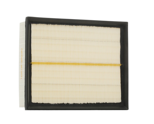 Land Rover Discovery 2 Luftfilter original RIDEX 8A0347 Preis