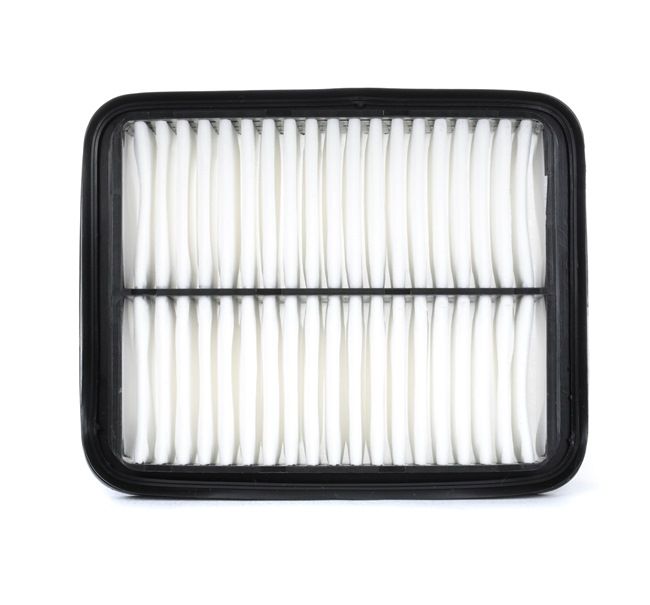MANN-FILTER Filtro aria C 1924 a buon mercato