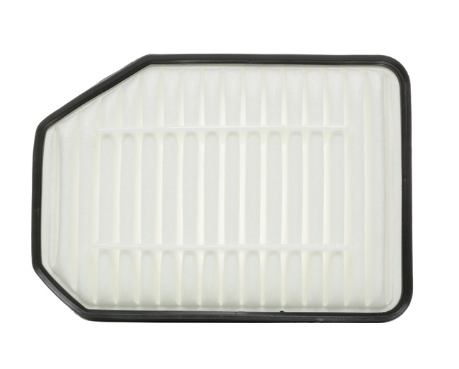 RIDEX 8A0455 JEEP Ilmansuodatin