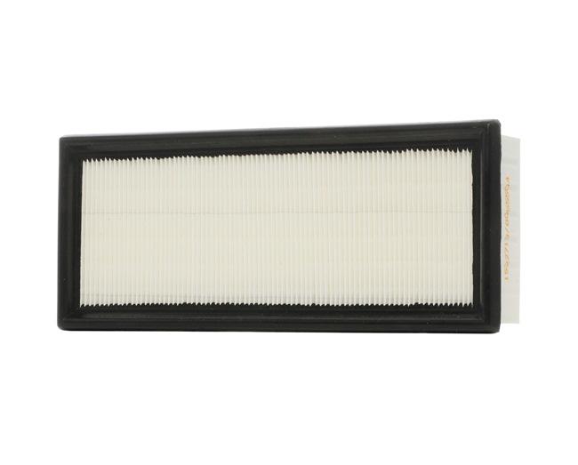 RIDEX 8A0367 Vzduchový filter RENAULT AVANTIME 2001