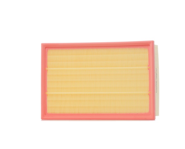 RIDEX 8A0311 LAND ROVER Ilmansuodatin