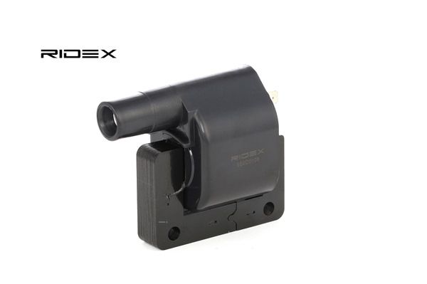 RIDEX 689C0108 bobine 42 91 029
