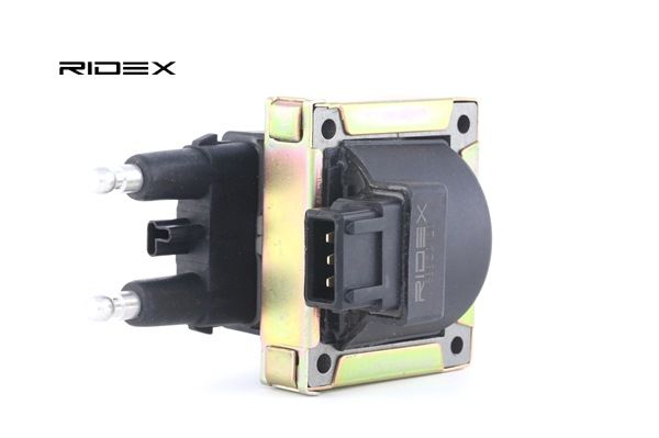 RIDEX 689C0120 Aizdedzes spole Renault Megane Scenic 2.0 i (JA02, JA0G) 109 ZS Benzīns 1999