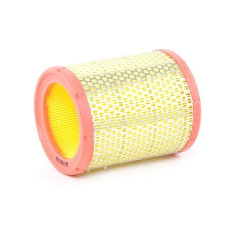 MEGA filter RIDEX 8A0225