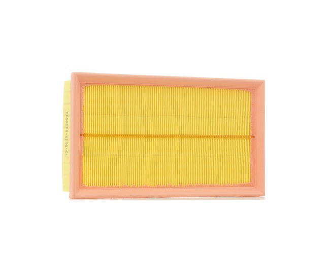 RIDEX 8A0510 Vzduchový filter RENAULT AVANTIME 2002