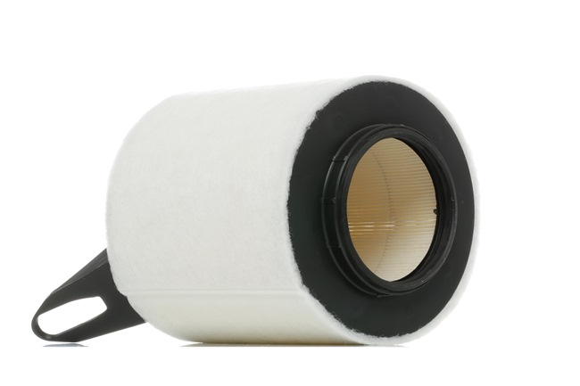 RIDEX 8A0407 Luftfilter BMW E87 original pris