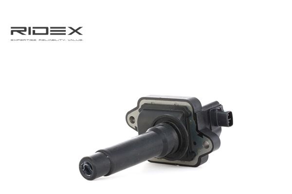 RIDEX 689C0273 Kvalitet och schyst prissättning