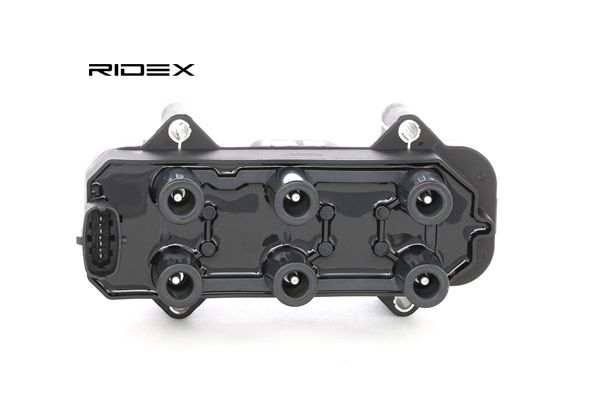 RIDEX 689C0267 bobine 01208075