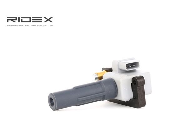 RIDEX 689C0238 Calidad y precios justos