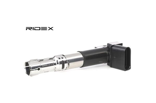RIDEX 689C0230 Aizdedzes spole VW Passat B5.5 Variant 2.3 VR5 4motion 170 ZS Benzīns 2002