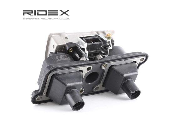 RIDEX 689C0217 Vzigalna tuljava Passat 3b5 1.8 115 km Bencin 2000