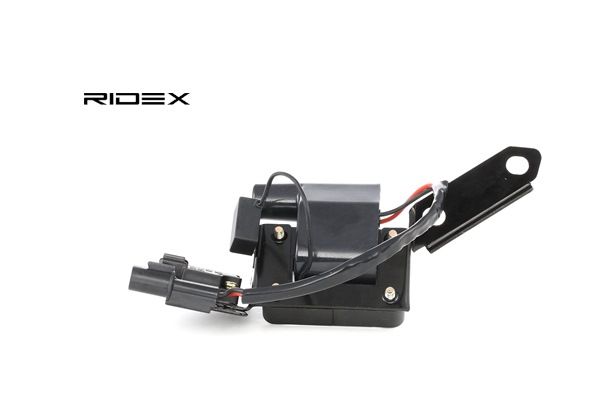 RIDEX 689C0198 Calidad y precios justos