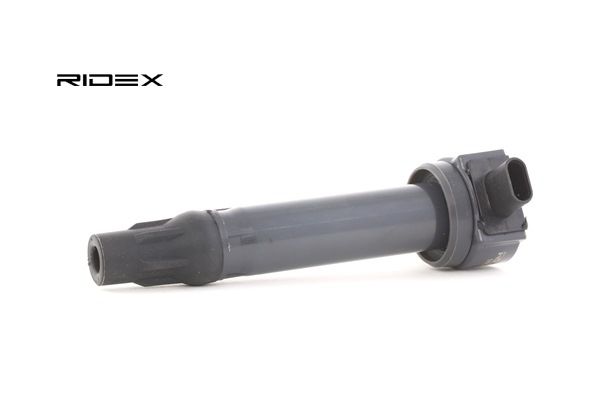 RIDEX 689C0169 DODGE Zündspule Kosten