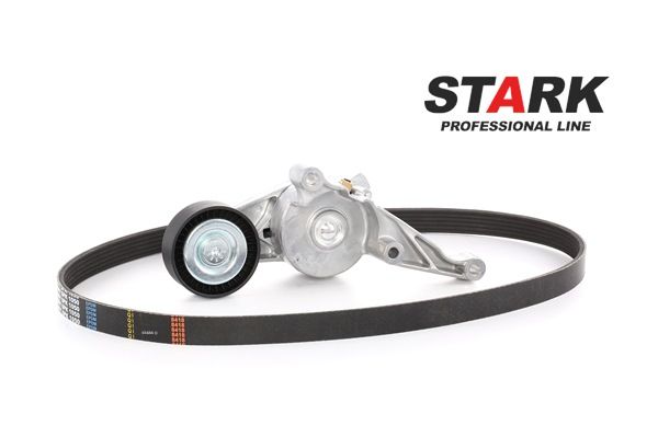 STARK SKRBS-1200006 kileribberemsett Passat B6 Variant 1.9 TDI 105 hk Diesel 2007