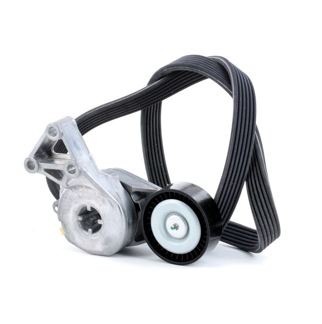 STARK SKRBS-1200014 Kit cinghia servizi VW Passat B6 Variant 2.0 FSI 4motion 150 CV Benzina 2008