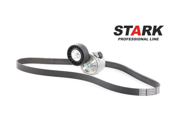 STARK SKRBS-1200024 Kit cinghia servizi Ford C-Max DM2 2.0 TDCi 133 CV Diesel 2009
