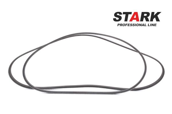 STARK SKRBS-1200032 Kit de courroie d'accessoire Ford C-Max DM2 1.6 116 CV Essence 2009