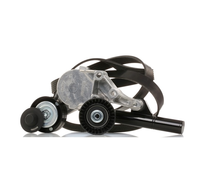 STARK SKRBS-1200039 Kit cinghia servizi Golf 1j5 1.9 TDI 110 CV Diesel 2001