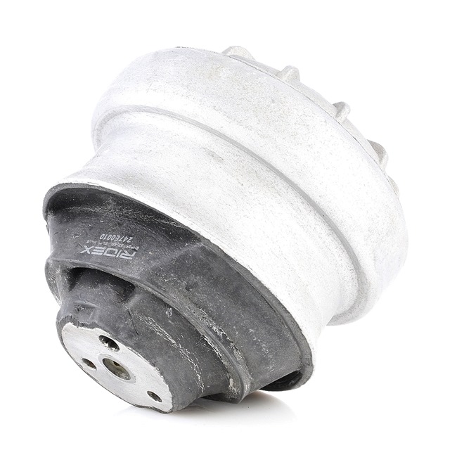 RIDEX 247E0010 Vlezajenje, motor MERCEDES-BENZ zadaj in spredaj
