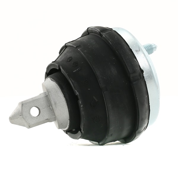 RIDEX 247E0063 Vlezajenje, motor BMW E39