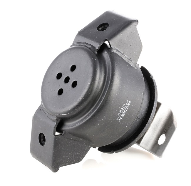RIDEX 247E0029 Calidad y precios justos