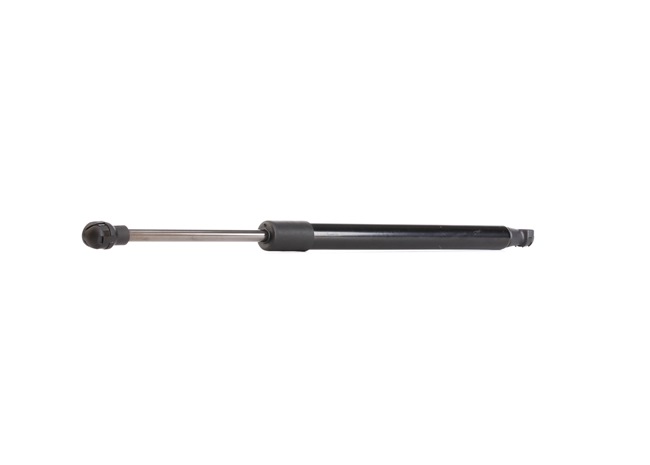 RIDEX 219G0366 qualité et prix abordables