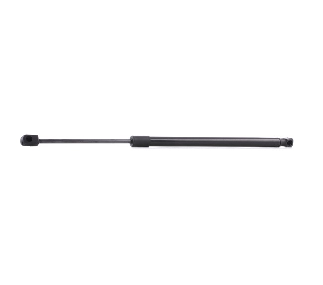 RIDEX 219G0323 Vysoká značková kvalita