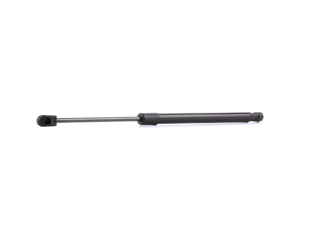 RIDEX 219G0246 Pneumatická prużina, Batożinový / nákladný priestor HYUNDAI za skvelé ceny