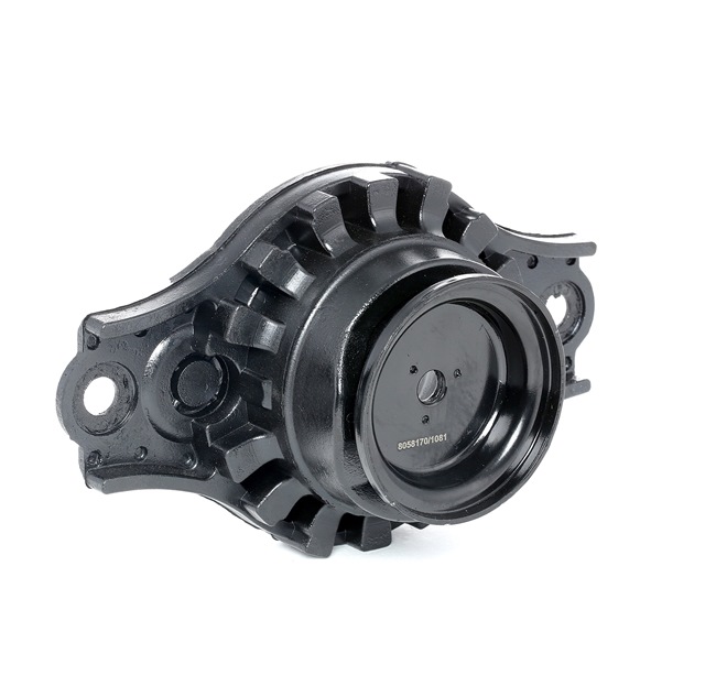 RIDEX 1180S0138 veerpootlager 55320 2F500