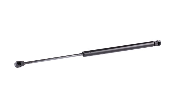 RIDEX 219G0360 Amortecedor da mala Renault 19 B/C53 preço