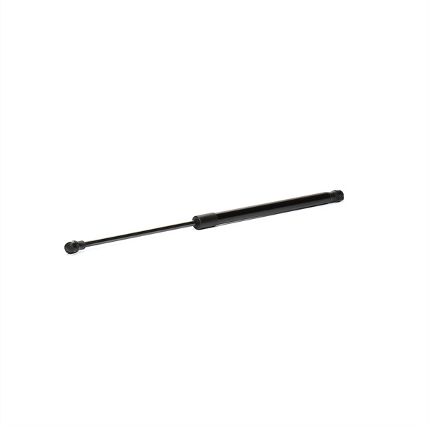 RIDEX 219G0348 Bakluke demper SEAT pris