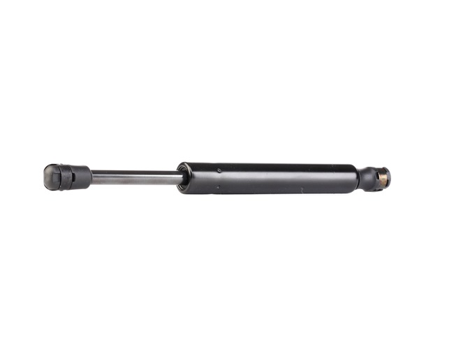 RIDEX 219G0119 ALFA ROMEO gasveer achterklep kopen